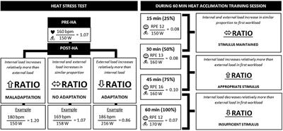 The Internal-to-External Load Ratio: A Tool to Determine the Efficacy of Heat Acclimation/Acclimatization Using Self-Paced Exercise